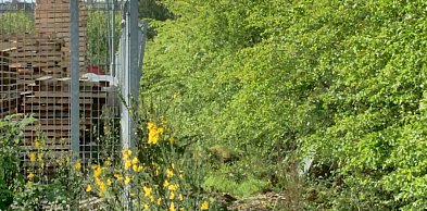 Sieci na prywatnej nieruchomości a roszczenia właściciela – praktyczny przewodnik