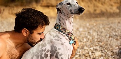 Są nowe wyniki badań, pies jest w stanie wykryć zdradę...