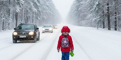 8 latka przy ulicy-15265