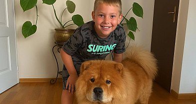 Najczęściej popełniane błędy w kontakcie z psem-14720