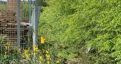 Sieci na prywatnej nieruchomości a roszczenia właściciela – praktyczny przewodnik