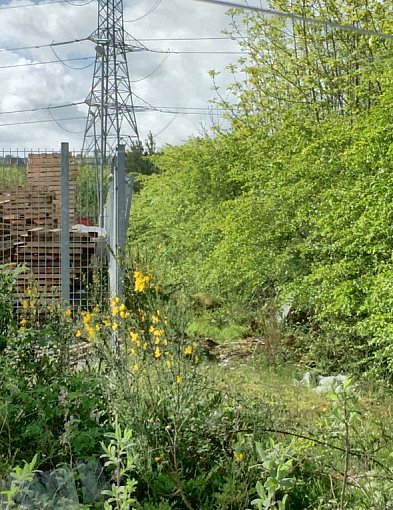 Sieci na prywatnej nieruchomości a roszczenia właściciela – praktyczny przewodnik