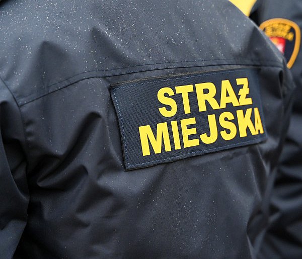 Zapuka strażnik, zapłacisz karę. Ruszyły kontrole w całej Polsce-14578
