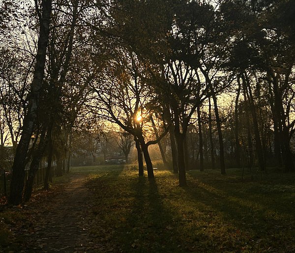 Nadchodzi najkrótszy dzień w 2025 roku. Sprawdź, kiedy przypadnie-15161