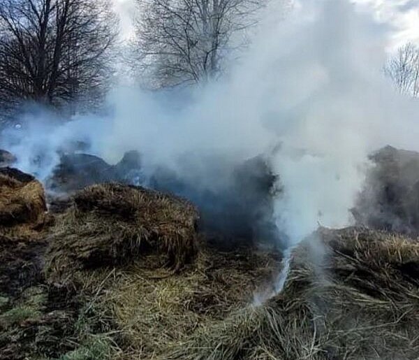 Trzech chłopców w wieku od 13 do 15 lat odpowie przed Sądem Rodzinnym