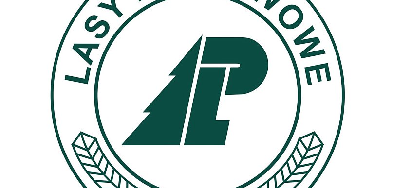 Okazja inwestycyjna pod Wałczem: Nadleśnictwo Wałcz ogłasza przetarg