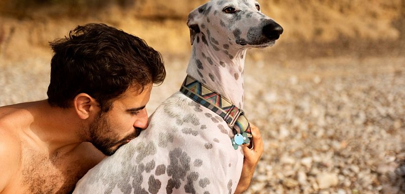 Są nowe wyniki badań, pies jest w stanie wykryć zdradę...