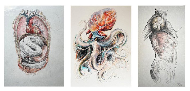 Hannibal Lecter sztalugi w WCK