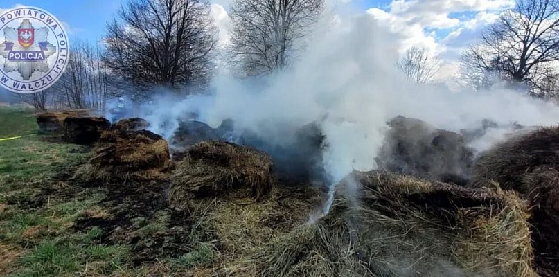Trzech chłopców w wieku od 13 do 15 lat odpowie przed Sądem Rodzinnym