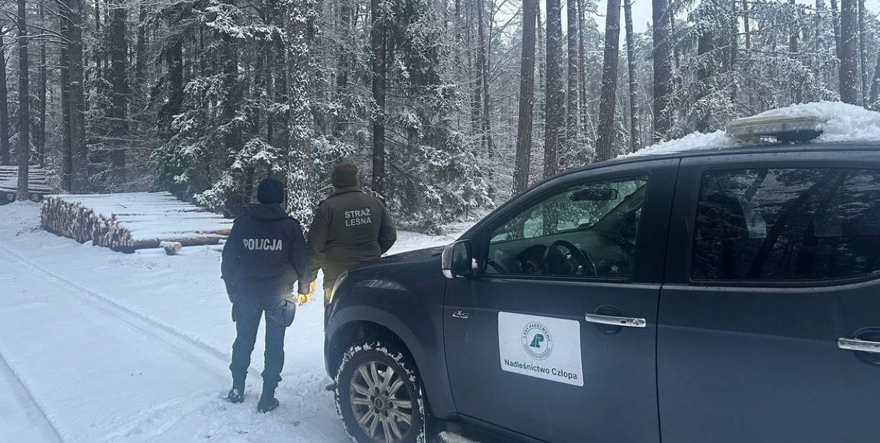 Człopa: Mundurowi w obronie lasów