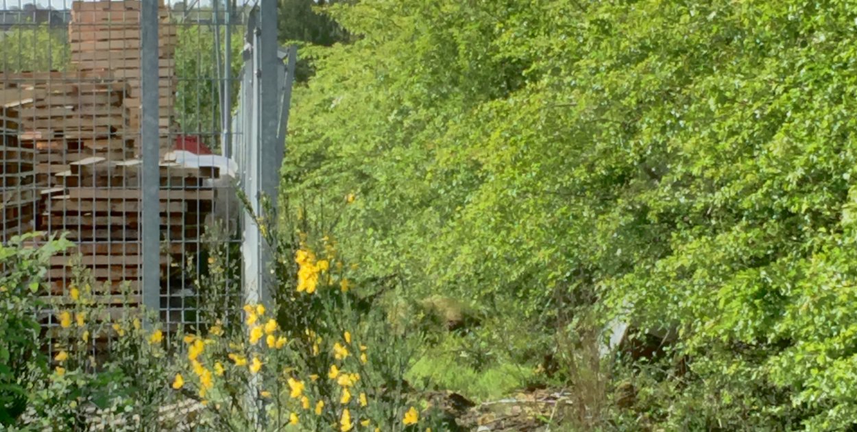 Sieci na prywatnej nieruchomości a roszczenia właściciela – praktyczny przewodnik