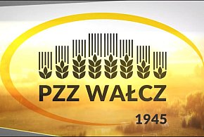 PZZ Wałcz - prezentacja spółki (aktualizacja 2023r